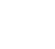 House Icon